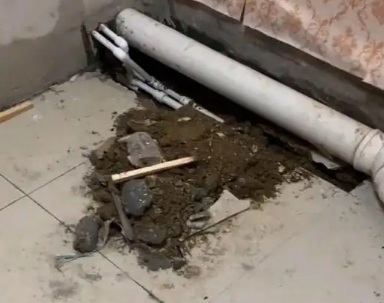 滦南卫生间漏水检测哪家好