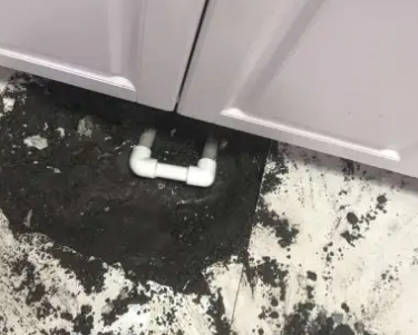 滦南查漏水哪家好